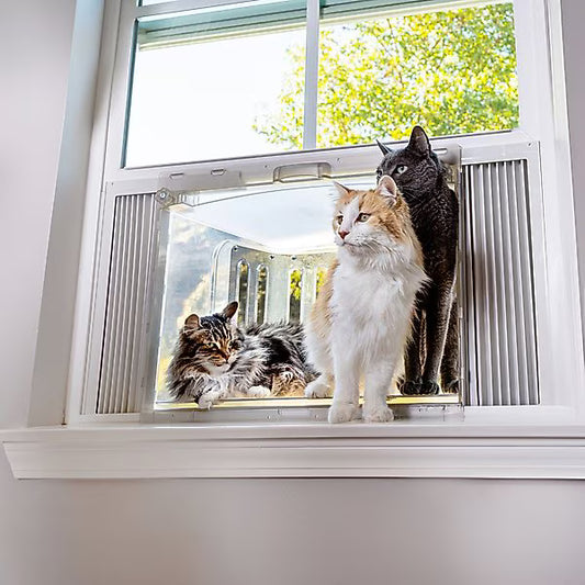 VistaGato VistaCatio Cat Window Catio & Perch